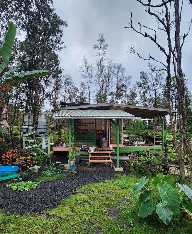 FlashTown cabin in the jungle above the tubes